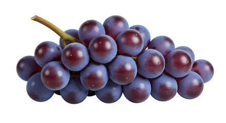 Isolated Bunch of Grapes
