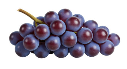 Isolated Bunch of Grapes