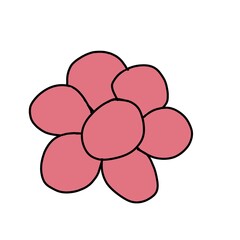 A simple pink flower with six rounded petals on a white background.
