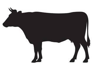 COW SILHOUETTE WHITE BACKGROUND