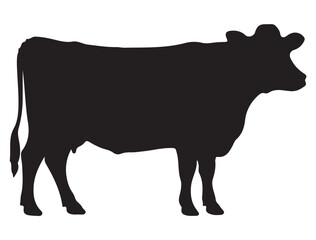 COW SILHOUETTE WHITE BACKGROUND
