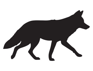  COYOTE SILHOUETTE WHITE BACKGROUND