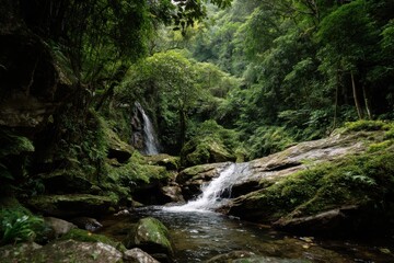 A hidden waterfall deep in the jungle offers a secret paradise for adventurers