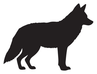  COYOTE SILHOUETTE WHITE BACKGROUND