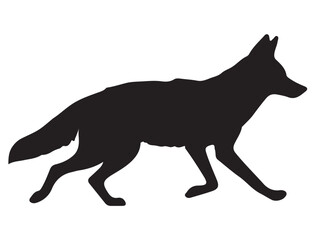  COYOTE SILHOUETTE WHITE BACKGROUND