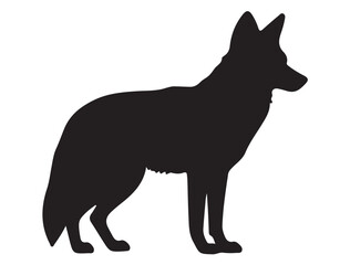  COYOTE SILHOUETTE WHITE BACKGROUND