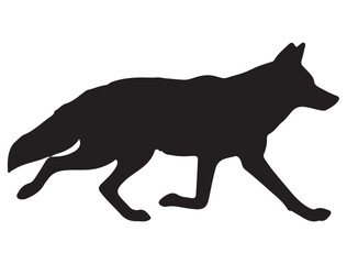  COYOTE SILHOUETTE WHITE BACKGROUND