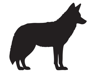  COYOTE SILHOUETTE WHITE BACKGROUND
