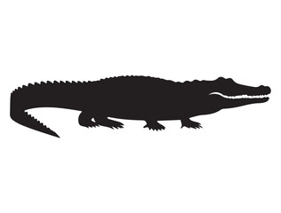 CROCODILE SILHOUETTE WHITE BACKGROUND