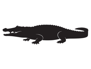 CROCODILE SILHOUETTE WHITE BACKGROUND