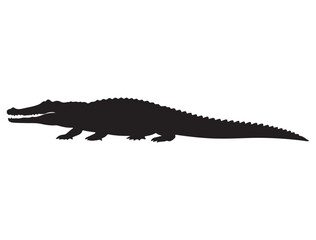 Naklejka premium CROCODILE SILHOUETTE WHITE BACKGROUND