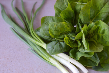 Organic green lettuce and spring onions arranged on rustic linen with soft natural lighting....