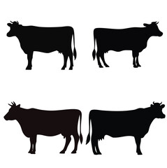 Cow Standing and Looking Forward Vector Bundle Set