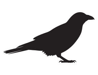  CROW SILHOUETTE WHITE BACKGROUND