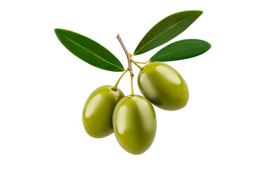 a branch with three green olives and three green leaves on a transparent background