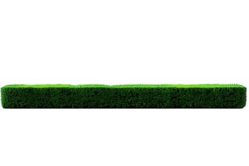 green grass isolated on white