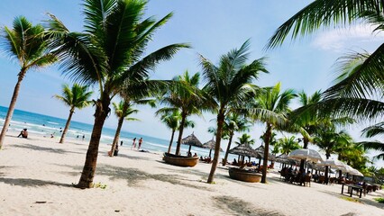 Obraz premium palm trees on the beach