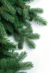 Green pine branches arranged on clean white space, perfect for holiday promotions, Christmas banners, or winter sale flyers.