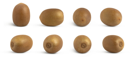 Whole kiwi fruit collection isolated on white background.