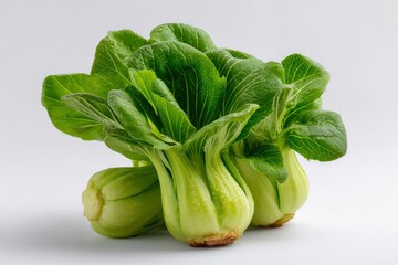 Bok Choy Vegetable on White Background