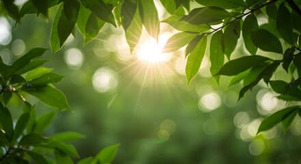 Natural bokeh background created by sunlight filtering through tropical leaves, producing a soft and vibrant green blur.