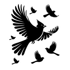 Obraz premium Majestic Birds in Flight: A Black Silhouette