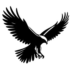 Fototapeta premium Majestic Hawk in Flight: Black and White Vector Art