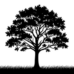 Fototapeta premium Majestic Oak Tree Silhouette: Nature's Black and White Masterpiece