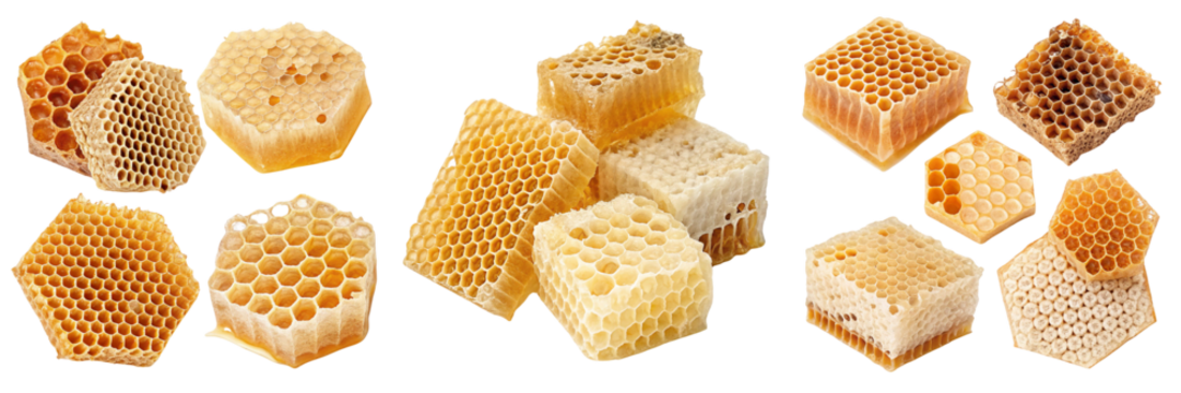 Set of honeycomb structures showcasing variations isolated on a transparent background