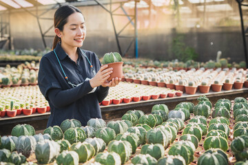 Beautiful Asian female farmer in apron, smiling holding a little pot of cute cactus while checking quality of cactus plants in a cactus greenhouse farm.