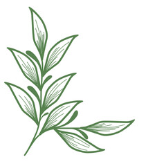 Minimalist leaf illustration set. Leaf illustration for wedding. Elegant line art leaf illustrations for wedding invitation decoration