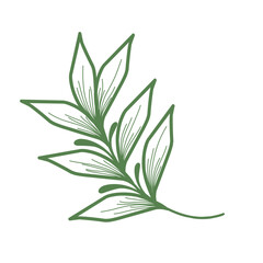 Minimalist leaf illustration set. Leaf illustration for wedding. Elegant line art leaf illustrations for wedding invitation decoration