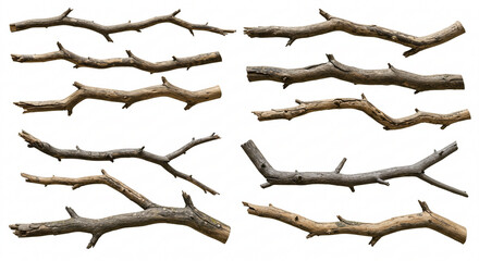 Fototapeta premium Realistic dry branches isolated on a transparent background. Dead tree branch, old twig, PNG, Cut out
