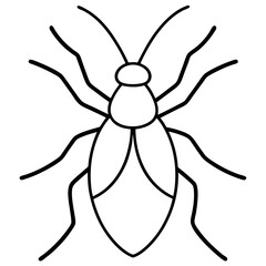 Clean Aphid Outline Illustration