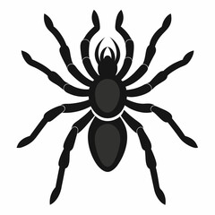 Clean Tarantula Silhouette Design