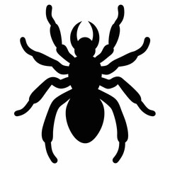 Clean Tarantula Silhouette Design