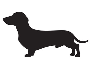 DACHSHUND SILHOUETTE WHITE BACKGROUND