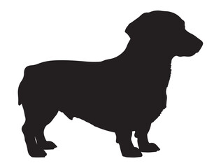 DACHSHUND SILHOUETTE WHITE BACKGROUND