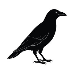 Fototapeta premium Crow Perched Silhouette Vector Clean and Striking 3
