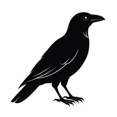 Fototapeta premium Crow Perched Silhouette Vector Clean and Striking 6