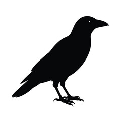 Obraz premium Crow Profile Silhouette Vector Sharp and Minimalist 2