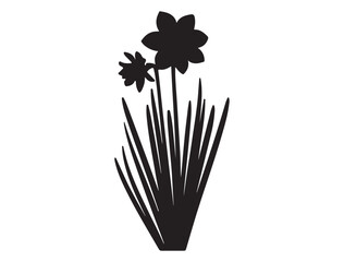 DAFFODIL SILHOUETTE WHITE BACKGROUND