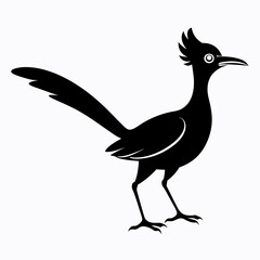 Crisp Roadrunner Silhouette Logo