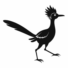 Crisp Roadrunner Silhouette Logo