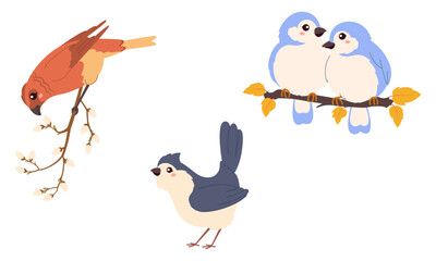 Set of cute birds. Bird on a branch with spring buds. Colorful and cheerful vector illustrations are perfect for children's books, prints, stickers and seasonal designs.