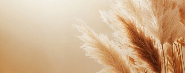 Fluffy plants and their stems are presented against a soft backdrop
