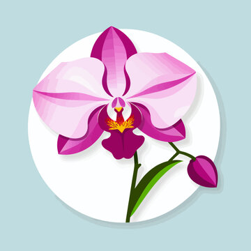 Beautiful Pink Orchid Flower Illustration_Modern Floral Art_Elegant Botanical Design_Orchid Blossom_Perfect for Home Decor and Creative Projects_Delicate Flower Artwork