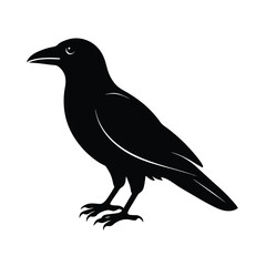 Fototapeta premium crow silhouette bird vector icon dark and strong