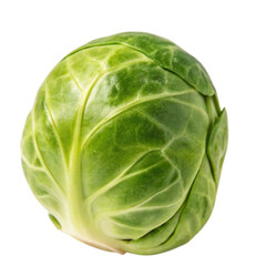 Fototapeta premium Single Fresh Green Brussel Sprout Vegetable Closeup Photography isolated on transparent background Generative AI