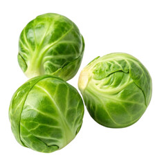 Three Fresh Green Brussels Sprouts Close Up Shot Isolated on Grey Background Healthy Food Vegetable isolated on transparent background Generative AI